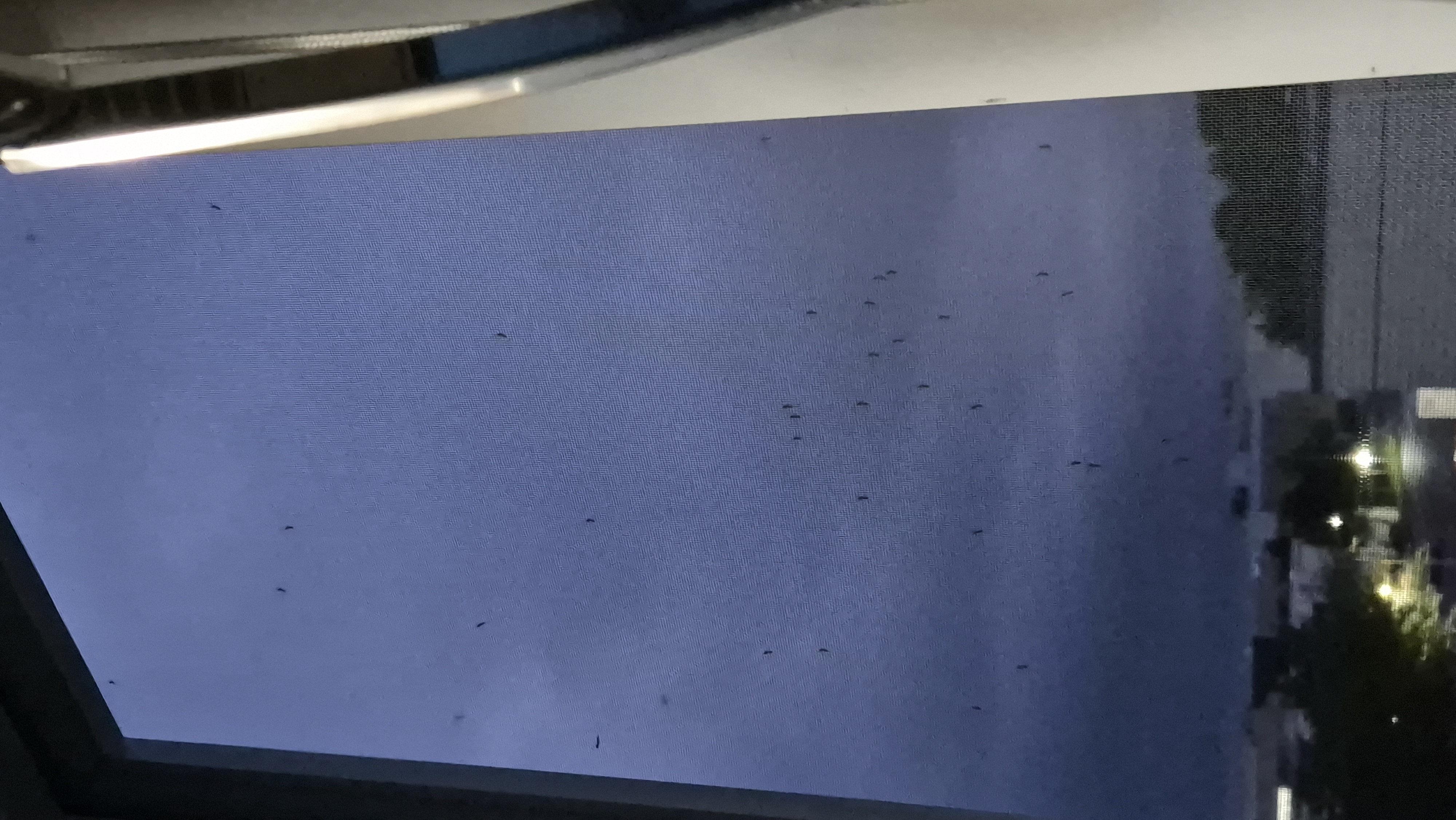 해충 방역 A동 205호