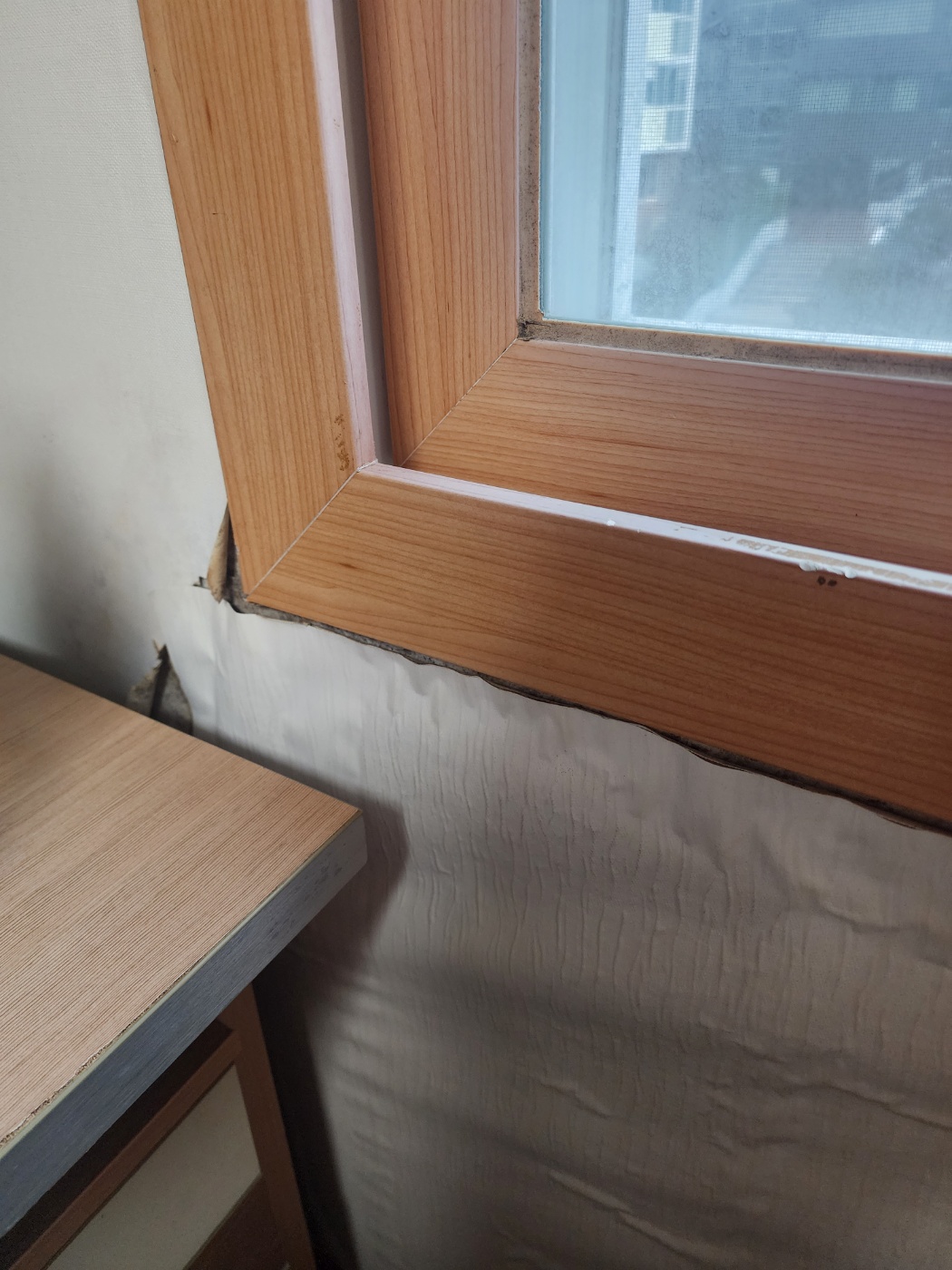 4호관 A동 233호실