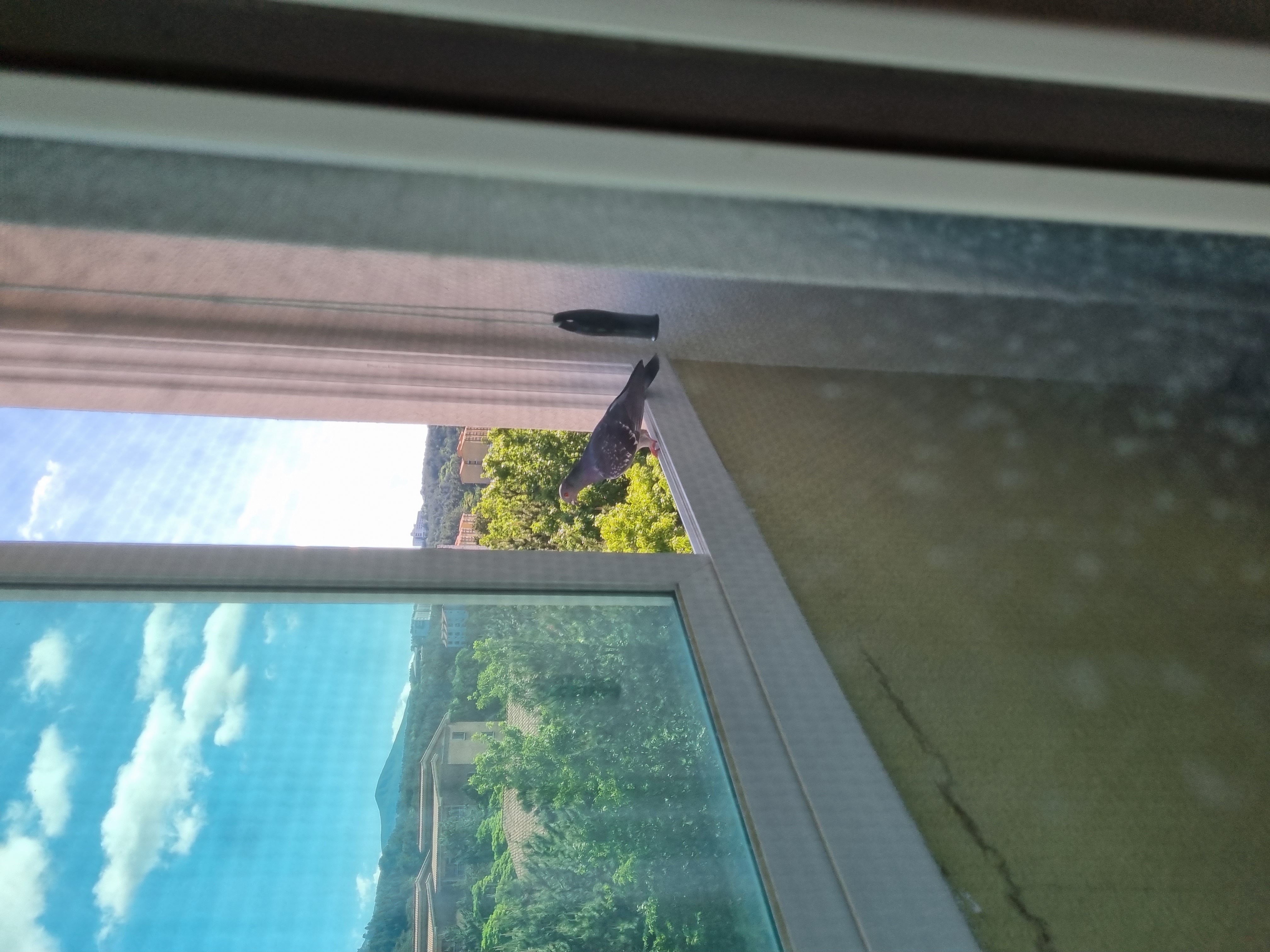 4호관 A334호 창문