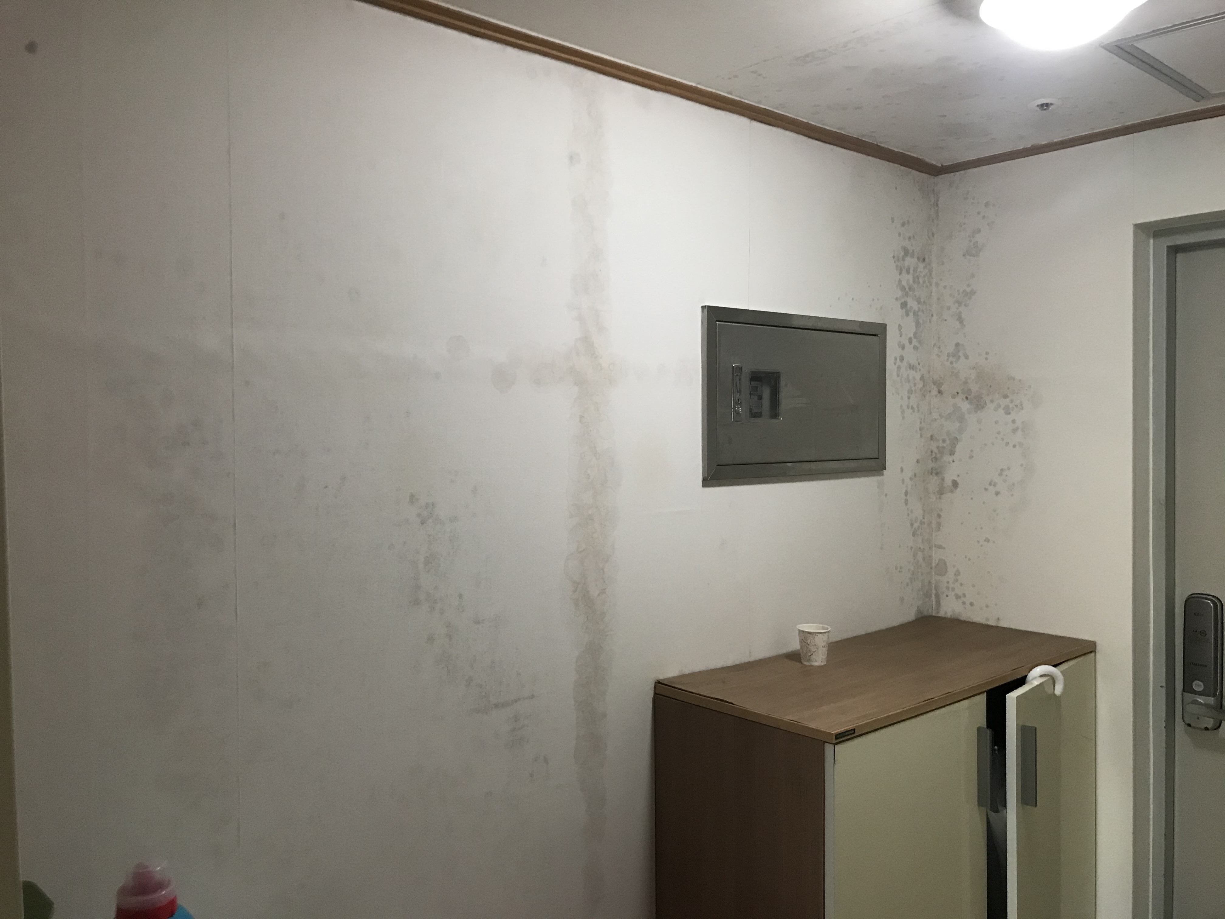 B동 321호 벽지에 곰팡이가 폈습니다