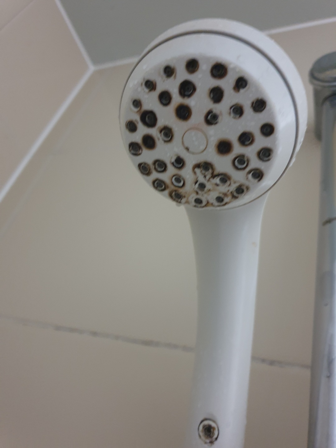 4호관 b121호 화장실 문 손잡이/샤워기 헤드