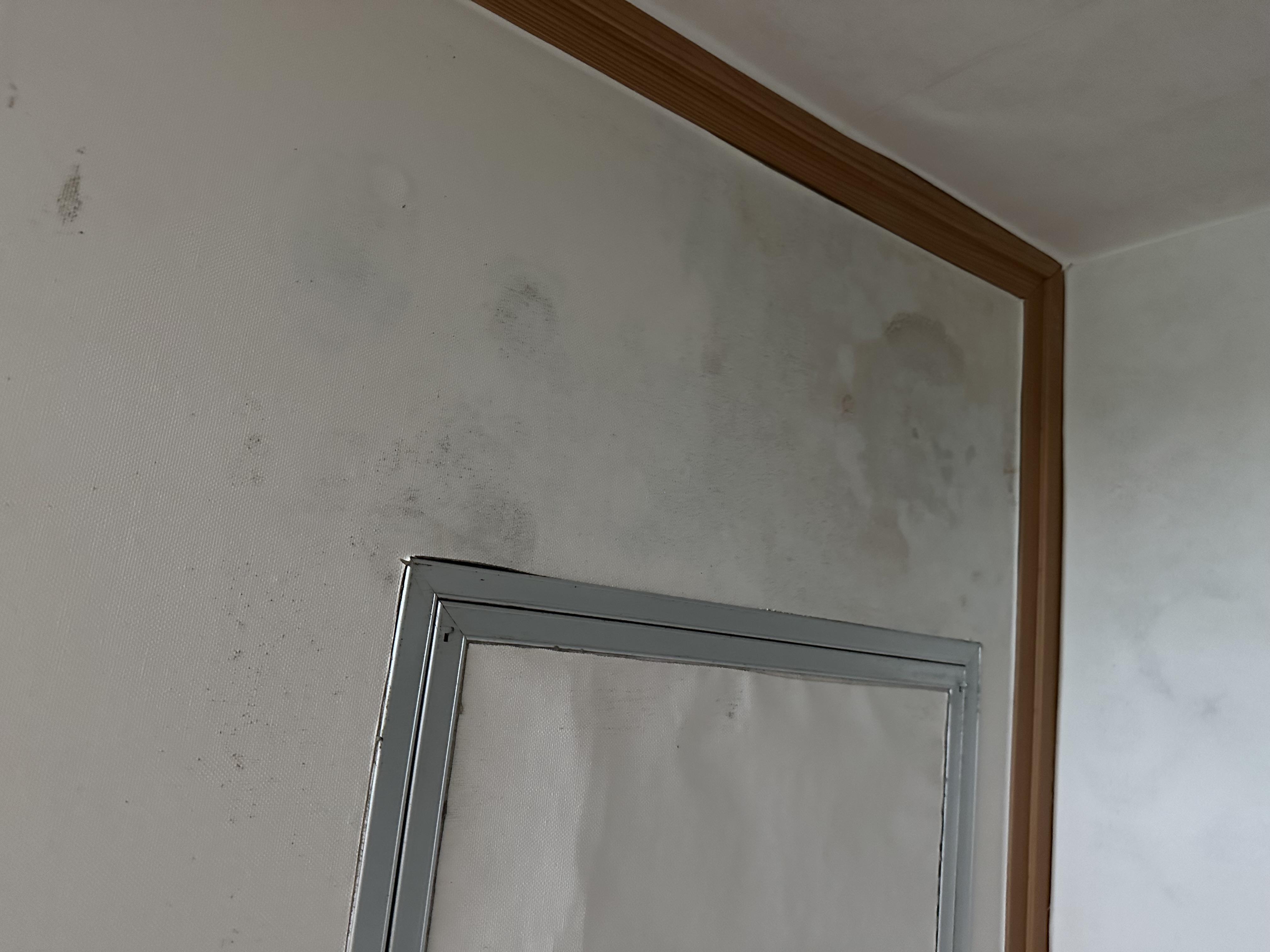 4호관 A동 224호실